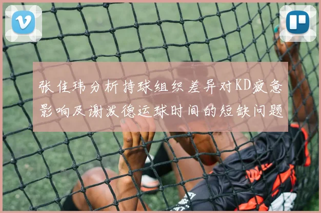 张佳玮分析持球组织差异对KD疲惫影响及谢泼德运球时间的短缺问题